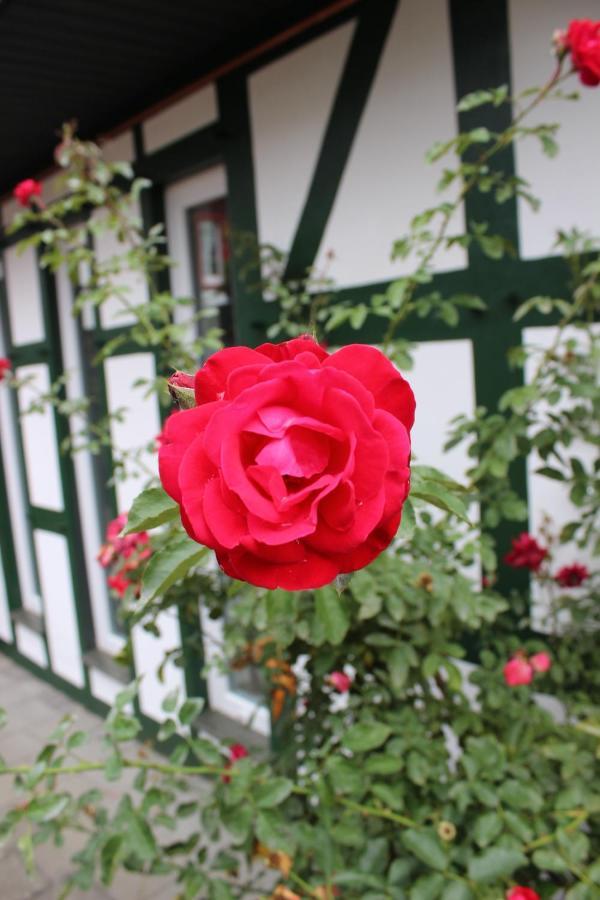 Gemuetliches Fachwerkhaus Im Herzen Nideggens Luaran gambar